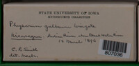 Image Associated With the Occurence